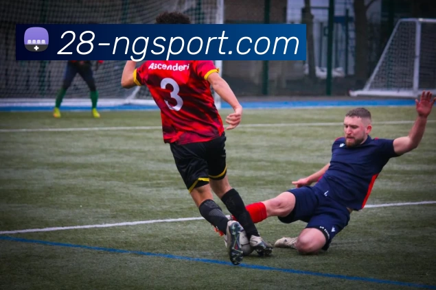 南宫28APP 封面图